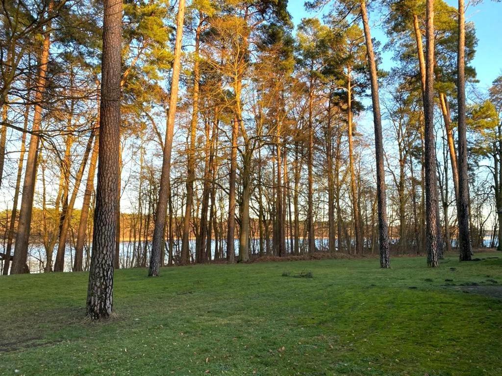Ferienhaus Direkt Am See Uckermark Templin Extérieur photo